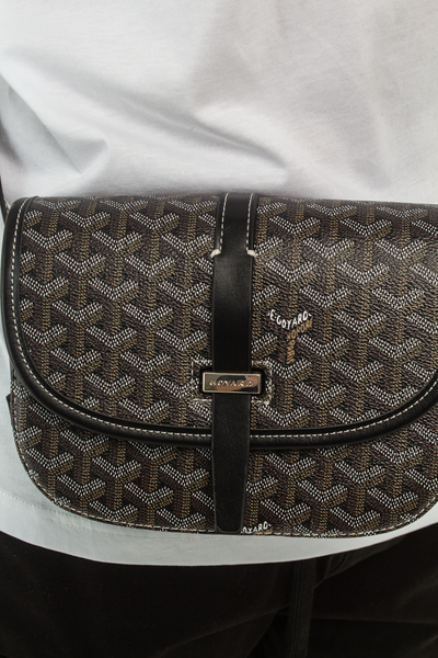 Сумка Goyard &mdash; фото | Caskade Store